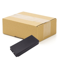 10 stuks: Danfoss BT12 accu's (7.2 V, 2.0 Ah, Ni-Mh, 123accu huismerk)  ADA00219