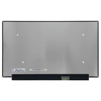 Laptop LCD Scherm 15,6" 2560x1440 MAT Ultraslim 40-pin eDP QHD 240Hz IPS ADR00436