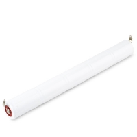 123accu Noodverlichting stick D cell (6V, 4500 mAh, BSE)  ANB00588