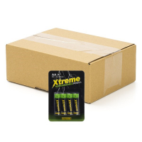 123accu Xtreme Power Oplaadbare AA / HR6 Ni-Mh batterijen (64 stuks, 2000 mAh)  ADR00184