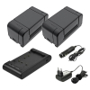 2 stuks: Sony NP-66H / NP-55 / NP-33 accu met oplader (6 V, 4200 mAh, 123accu huismerk) ASO01275 - 1