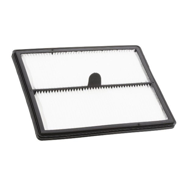 AEG  / Electrolux 4060001429 filter (origineel)  AAE00141 - 1