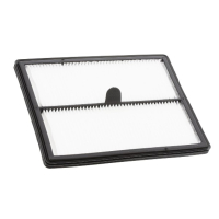 AEG  / Electrolux 4060001429 filter (origineel)  AAE00141