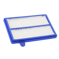 AEG / Electrolux 4060002328 / E10 fijnfilter (origineel)  AAE00140