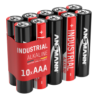 Ansmann Industrial AA / LR06 / MN1500 Alkaline Batterij (10 stuks) AAN00276