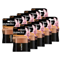 Bestel 10 stuks