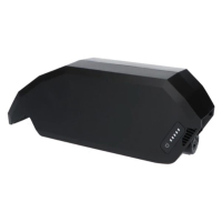 Vision PowerPack 700 (BES2) Frame fietsaccu (36 V, 20 Ah, 720 Wh) AEB00027