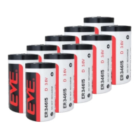 EVE 10 x EVE ER34615 / D batterij (3.6V, 19000 mAh, Li-SOCl2)  AEV00026