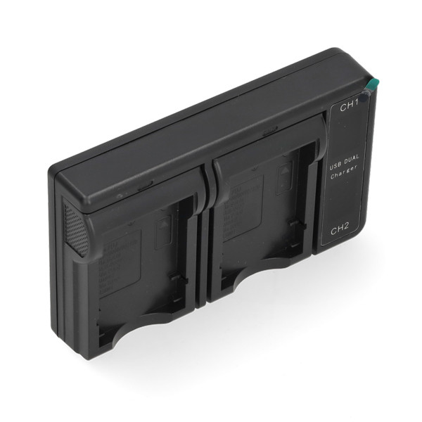 FujiFilm NP-95 USB-C double slot oplader (4.2V, 0.7A, 123accu huismerk) AFU00359 - 2