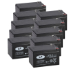 10 Stuks: Landport LP12-12 VRLA AGM Loodaccu's (12V, 12 Ah, T2 terminal) ALA00445 - 1