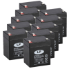 10 Stuks: Landport LP12-5.4 VRLA AGM Loodaccu's (12V, 5.4 Ah, T2 terminal)