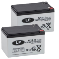 Landport 2 Stuks: Landport EV12-12 / EV12012 AGM Deep Cycle accu's (12V, 12 Ah, T1 terminal)  ALA00423