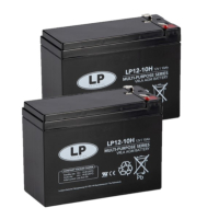 Landport 2 Stuks: Landport LP12-10H VRLA AGM Loodaccu's (12V, 10 Ah, T2 terminal)  ALA00429