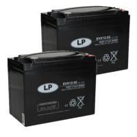 2 stuks: Landport EVX12-55 / EVX12055 Deep Cycle Carbon AGM Gel accu's (12V, 55 Ah, T6 terminal) ALA00541