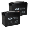 2 stuks: Landport EVX12-55 / EVX12055 Deep Cycle Carbon AGM Gel accu's (12V, 55 Ah, T6 terminal)