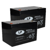 2 stuks: Landport EVX12-76 / EVX12076 Deep Cycle Carbon AGM Gel accu's (12V, 76 Ah, T6 terminal) ALA00543