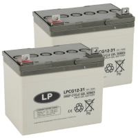 2 stuks: Landport LPCG12-31 Deep Cycle Gel accu's (12V, 30 Ah, T5 terminal) ALA00544