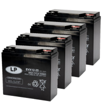 4 stuks: Landport EVX12-25 / EVX12015 Deep Cycle Carbon AGM Gel accu's (12V, 25 Ah, T12 terminal) ALA00559