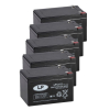 5 Stuks: Landport LP12-12 VRLA AGM Loodaccu's (12V, 12 Ah, T2 terminal) ALA00446 - 1