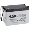 Landport EV12-60 / EV1260 AGM Deep Cycle accu (12V, 60 Ah, T6 terminal)  ALA00381