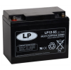 Landport LP12-55 VRLA AGM Loodaccu (12V, 50 Ah, T6 terminal) ALA00149 - 1