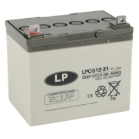 Landport LPCG12-31 Deep Cycle Gel accu (12V, 30 Ah, T5 terminal)  ALA00166