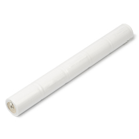 Noodverlichting stick D cell (6V, 4000 mAh, 123accu huismerk)  ANR00005