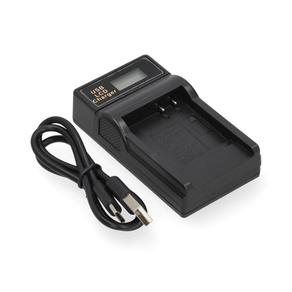 Panasonic CGA-S008 / DMW-BCE10 / VW-VBJ10 USB-C single slot oplader (4.2V, 0.7A, 123accu huismerk) APA01241 - 1