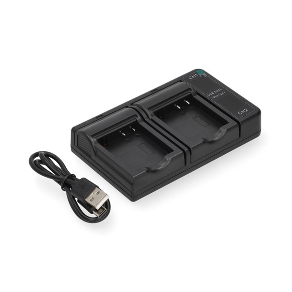 Panasonic DMW-BCF10 CGA-S009 USB-C double slot oplader (4.2V, 0.6A, 123accu huismerk) APA01248 - 1