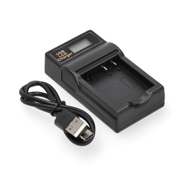 Panasonic DMW-BCF10 / CGA-S009 USB-C single slot oplader (4.2V, 0.7A, 123accu huismerk) APA01234 - 1