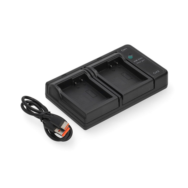 Panasonic DMW-BLD10E USB-C double slot oplader (8.4V, 0.7A, 123accu huismerk) APA01258 - 1