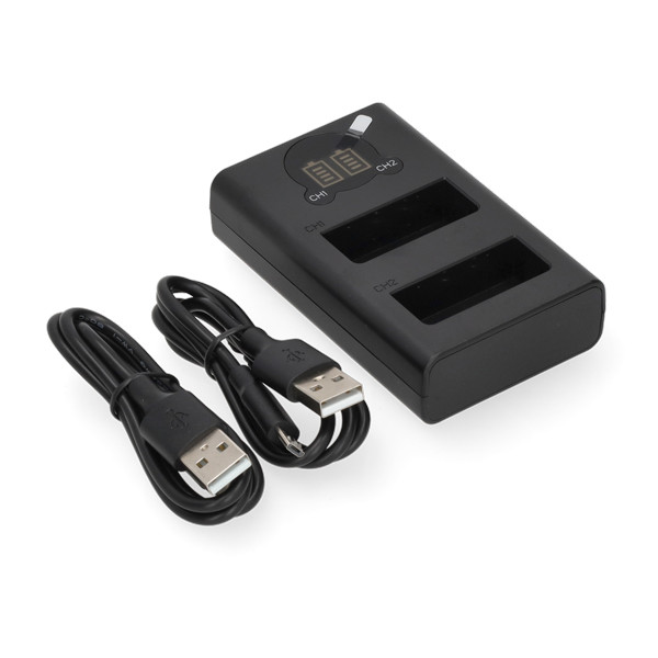 Panasonic DMW-BLE9 USB-C double slot oplader (8.4V, 0.7A, 123accu huismerk) APA01251 - 1