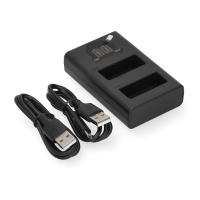 Panasonic DMW-BLE9 USB-C double slot oplader (8.4V, 0.7A, 123accu huismerk) APA01251