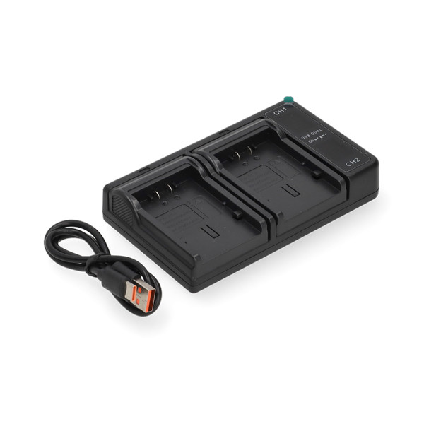 Panasonic VW-VBG130 USB-C double slot oplader (8.4V, 0.7A, 123accu huismerk) APA01249 - 1