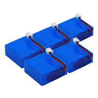 Safescan LB-105 / 112-0410 accu 5 stuks (700 mAh, 123accu huismerk) ASA02482