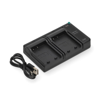 Sony NP-BD1 / NP-FD1 / NP-FR1 / NP-FT1 USB-C double slot oplader (123accu huismerk) ASO01218