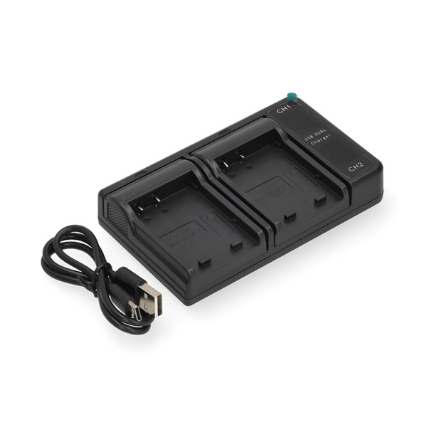 Sony NP-BD1 / NP-FD1 / NP-FR1 / NP-FT1 USB-C double slot oplader (4.2V, 0.7A, 123accu huismerk) ASO01218 - 1