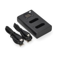 Sony NP-BX1 USB-C double slot oplader (4.2A, 0.7A, 123accu huismerk) ASO01211