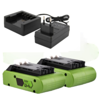 Starterkit: 2x GreenWorks G24B2 / 24V Max accu's + lader (24 V, 2.0 Ah, 123accu huismerk)  AGR00185