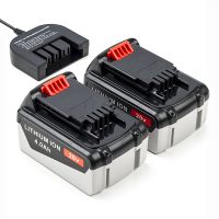 Set van 2 accu's + lader
