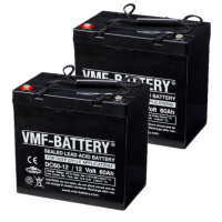 2 stuks: VMF DC60-12 AGM Deep Cycle accu's (12V, 60 Ah, T11 terminal) AVM00161