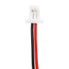 XP Metal Detectors 20210427 / GMB452239 accu (3 V, 250 mAh, 123accu huismerk)  AXP00010 - 2