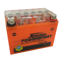 Xtreme Powersport Gel 50411 / YB4L-B / 504011002 accu (12V, 4Ah, 35A)  AXT00023