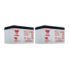 2 Stuks: Yuasa NP12-12 VRLA AGM Loodaccu's (12 V 12 Ah, F2 terminal) AYU00100 - 1