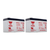2 Stuks: Yuasa NP7-12L VRLA AGM Loodaccu's (12 V 7 Ah, F2 terminal) AYU00131 - 1