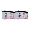 2 Stuks: Yuasa NP7-12 VRLA AGM Loodaccu's (12 V 7 Ah, F1 terminal) AYU00063 - 1