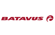 Batavus