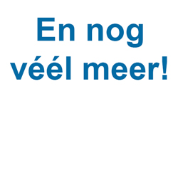 Bekijk alle groepen