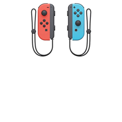 Nintendo Switch Joy-Con
