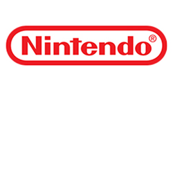 Nintendo game accu